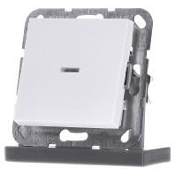 Gira drukvlakschakelaar dubbelpoligeschakelaar met controlelamp mat wit