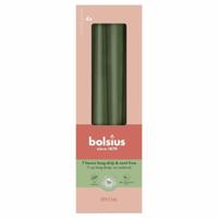 Bolsius gotische kaarsen 4 stuks metallic green 24.5cm - thumbnail