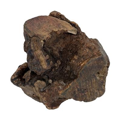 DOG WOODZZZ KAUWWORTEL MET OLIJFOLIE XL 751-1000 GR DOG WOODZZZ KAUWWORTEL MET OLIJFOLIE XL 751-1000 GR