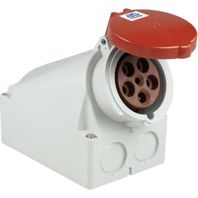 Schwabe CEE Wandcontactdoos 400V 63 A 5-polig, 6h IP44