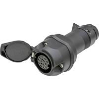 SecoRüt 50220 LED-verlichtingadapter [Stekkerdoos, 13-polig - Stekker, 13-polig] - thumbnail