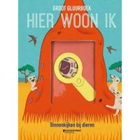 Hier woon ik - thumbnail