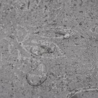 Vloerplanken 5,26 m 2 mm PVC cementbruin - thumbnail