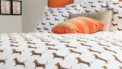 Snurk James dekbedovertrek