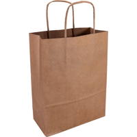 Tas | Kraftpapier | gedraaid papieren koord | 18x 8x24cm | draagtas | bruin | 100 stuks - thumbnail