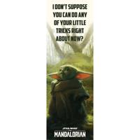 Poster Star Wars - The Mandalorian - Special Tricks 53x158cm - thumbnail