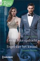 Gevaarlijke opdracht / Engel van het kwaad - Amanda Stevens, Cassie Miles - ebook - thumbnail
