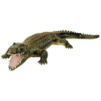 Johntoy Krokodil soft touch, 60cm - thumbnail