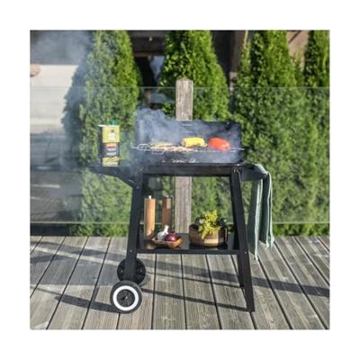 Barbecue Draagbare Livoo Roestvrij staal