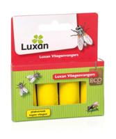 Vliegenvangers Luxan - Luxan - thumbnail