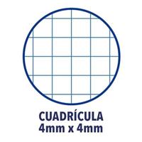 Set notitieboekjes Oxford Multicolour Din A4 80 Lakens 5 Onderdelen - thumbnail