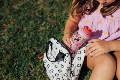 Bidon Minnie Mouse CZ11353 430 ml Roze Plastic