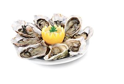 Oestermes Tescoma Presto