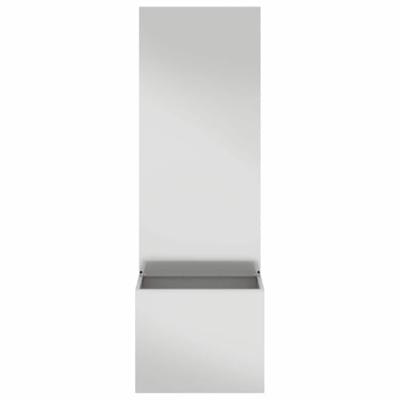 Tuinplant met Decoratief Paneel Zilver 50 x 140 cm Tuinplant met Decoratief Paneel Zilver 50 x 140 cm