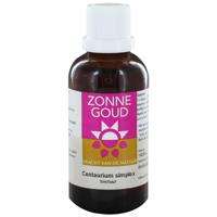 Zonnegoud Centaurium Simplex - thumbnail