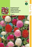 Zaden Gomphrena Kogelamarant gemengd Hortitops - Hortitops - thumbnail