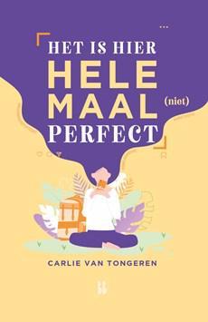 Het is hier helemaal (niet) perfect! - Carlie van Tongeren - ebook