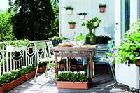 Elho Green Basics Balkonbak Plantenschotel Zwart 60cm - thumbnail