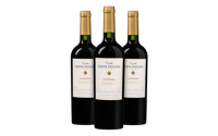 3 flessen Castillo Santa Paulina Carmenère Reserva Probeerpakket - thumbnail