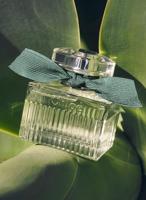 Chloé Rose Naturelle Intense 100% Eau de Parfum Intense 100ml - thumbnail