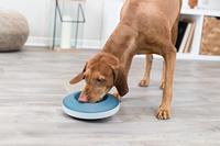 Trixie slowfeeding rocking bowl kunststof / tpr grijs / blauw - thumbnail