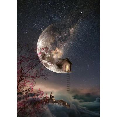 Puzzel - SCHMIDT SPIELE - Droomstof - 1000 stukjes