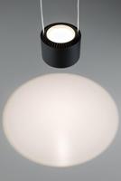 Paulmann URail Pendel Aldan LED-hanglamp URail 13 W LED Zwart (mat) - thumbnail