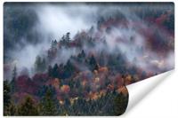 Fotobehang - Mistig herfstbos, premium print, inclusief behanglijm - thumbnail