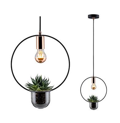 Paulmann Tasja 79748 Hanglamp Speciale lamp E27 20 W Koper, Zwart