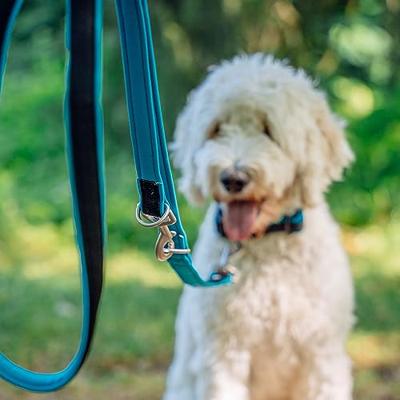 Nobby Preno Mesh Traning Leash, 200 cm/25-35 mm, Turkoois