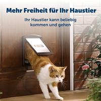 PetSafe huisdierdeur nr. 760 wit/transparant PetSafe Gebr. de Boon - Gebr de boon - thumbnail