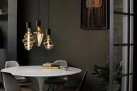 Lichtbron Organic Evo Goud E27 - thumbnail