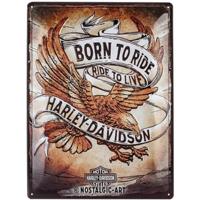 Harley Davidson Born to Ride Eagle wandplaat - thumbnail