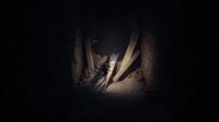 REANIMAL Deluxe Edition - thumbnail