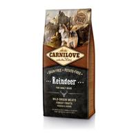 Carnilove reindeer adult - thumbnail