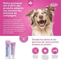 Stomodine F 30ml - thumbnail