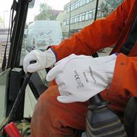 Leren werkhandschoenen XL / 10 ToolPack 364.091 - thumbnail