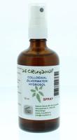 Colloidaal zilverwater spray hydrosol uitwendig - thumbnail