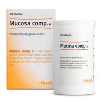 Heel Mucosa Compositum H Tabletten 250st - thumbnail