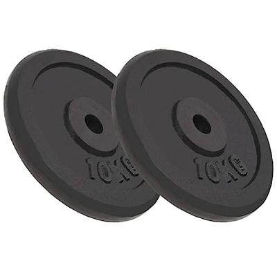 Halterschijven 2 st 2x10 kg gietijzer