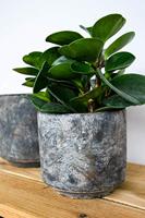 Bloempot Saar Grijs Ø14cm - thumbnail