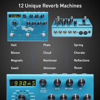 Strymon Big Sky Multi Reverb effectpedaal - thumbnail