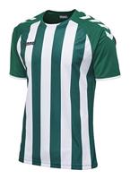 Hummel JERSEY 1/2 Core Striped Jersey SS - thumbnail