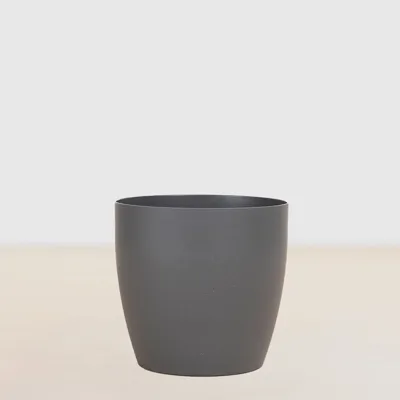 Oslo Antraciet - P12