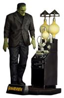 Frankenstein Plastic Model Kit 1/8 The Monster of Frankenstein 27 cm - thumbnail