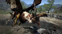 Dragons Dogma - thumbnail