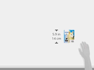 Epson T0967 licht zwart