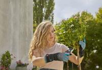 GARDENA 11541-20 Tuinhandschoen Maat (handschoen): 9 1 paar - thumbnail