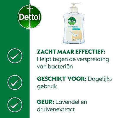 Dettol Dettol Handzeep Gevoelige Huid 250ml