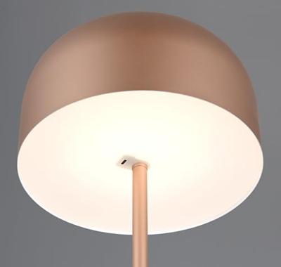 Trio Oplaadbare vloerlampJeff koffiebruin - R49151165